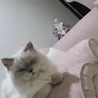 الجاد يتواصل معي على الخاص ونتكلم عن كل التفاصيل بأذن الله