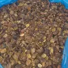 قشرسعر الكيس400وزن 48