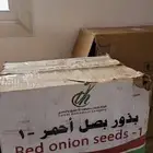 بذور بصل بافطيم