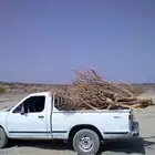 حطب حملة ددسن للبيع مستورد الموقع ام الدوم على السوم