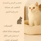 فندقة قطط منزلية