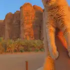 سكوتش فولد (( للبيع ))