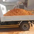 مبسط اساس التطور 45