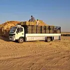 دينا شبك 7متر