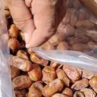 تمر اخلاص شقراء