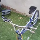 كوبرا لون ازرق للبيع