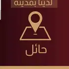نشارة خشب فاخرة