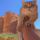 بريتيش قولد NY11 مسجلة