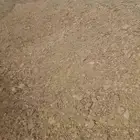 سماد بقره سماد دجاج