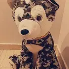 دبدوب كلب كبير