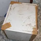 فقاصه