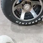 جنوط اخطبوط