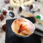 خاتمين عقيق يماني شجري