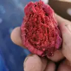 اللوز القطيفي