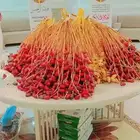 القهوجي احمد