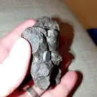 نوادر حجري نيزك حديدي جاذب للمغناطيس حجم ضخم الوزن الاجمالي