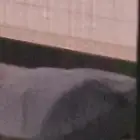 طربال ديزاير