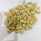 بذور الليمون الحلو