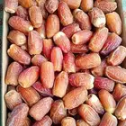 صقعي مبروم