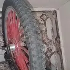 سيكل كوبرا