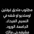 مطلوب شقه او ملحق او استديو