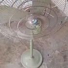 مروحه