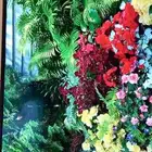 تلفزيون 50 بوصه سمارت ب 250 ريال
