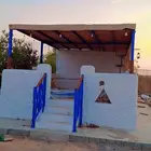 مقاول تنفيذ أعمال العريش النخيل والخيزران