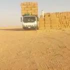 موجود تيبن شد ممتاز