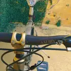 سيكل اشبي
