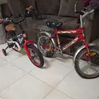 عجل للبيع