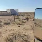 دينا للايجار