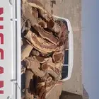 صندوق هايلكس