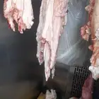 جزار مصري موجود في ينبع