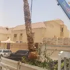 واشنطني امريكي زينه جميع المقاسات