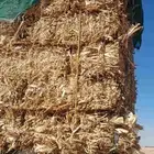 دواره قصب 7 ريال محمل