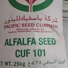 بذور برسيم أمريكي كاف 101 باسفيك
