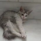 بسه روعه