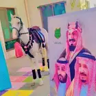 يوجد لدينا اجار خيل و جمال وسيسي يوم اسبوع شهر معا التوصيل و
