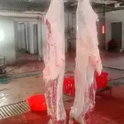 ذبيحتك لباب بيتك