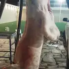 معلم مشويات شوي خارجي