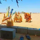 شمل وجنايب