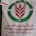 بذور برسيم أمريكي كاف 101 باسفيك مغلف