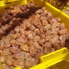 اخلاص فاخر
