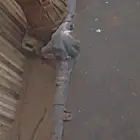 دفرنس هايلكس وكالا 2015