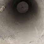 عود بلدي للبيع