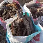 دفاية تكس فل و خياش فل ا اتواصل وتساب ا