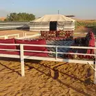 مخيم البستان تاجير يومي أو أسبوعي أو شهري