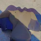 سروج للبيع
