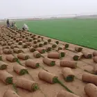 مزرعه الخرج لتوريد الثيل الطبيعي